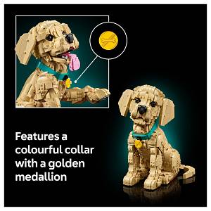 11384 Icons Golden Retriever Welpe