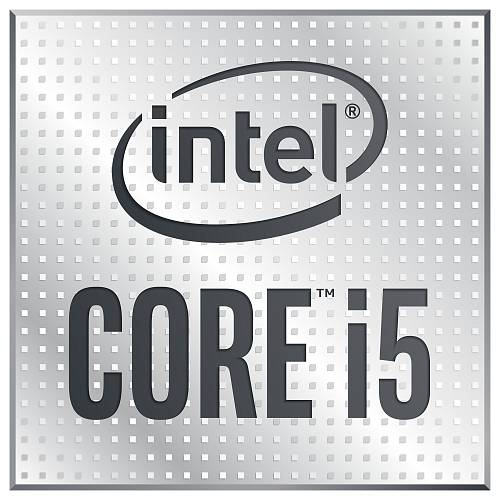 Intel S1200 CORE i5 10400 TRAY 6x2,9 65W GEN10